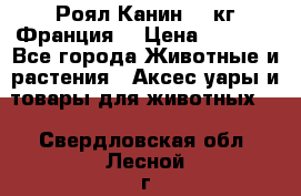  Роял Канин 20 кг Франция! › Цена ­ 3 520 - Все города Животные и растения » Аксесcуары и товары для животных   . Свердловская обл.,Лесной г.